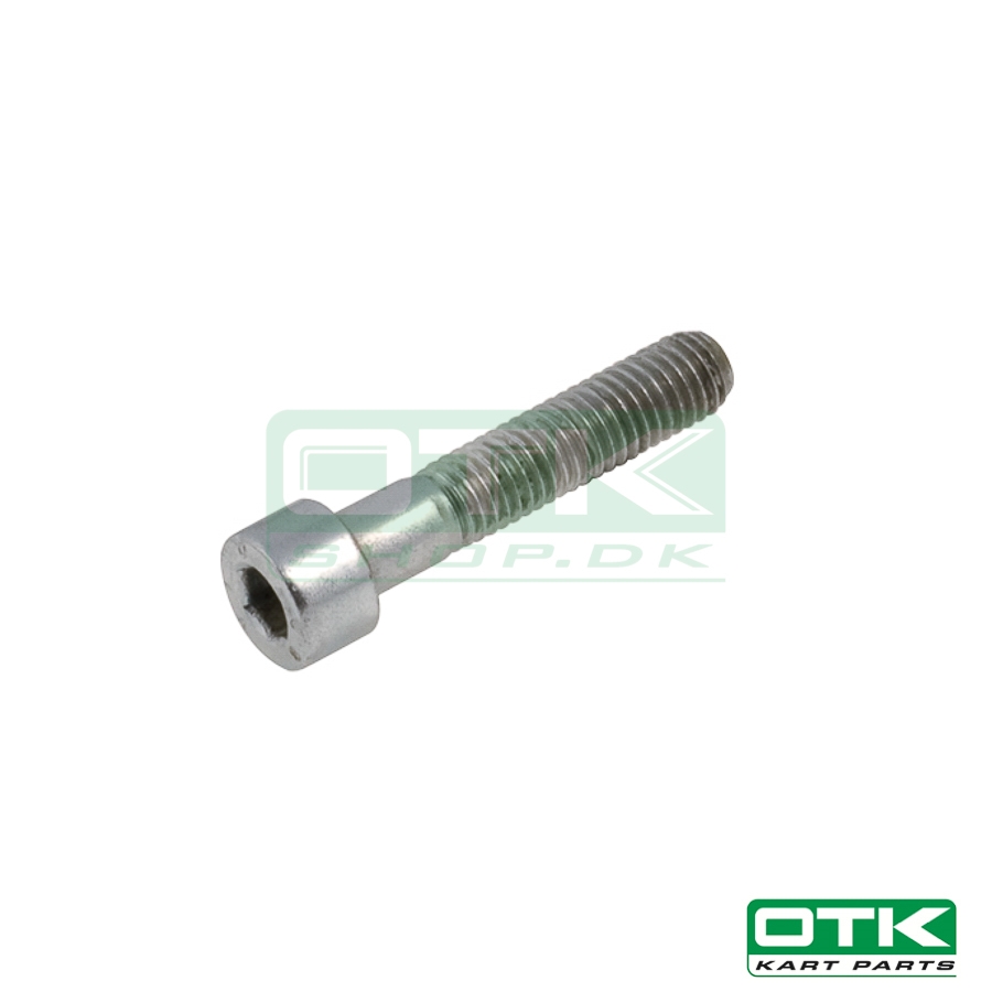 Bolt allen M8 x 40mm